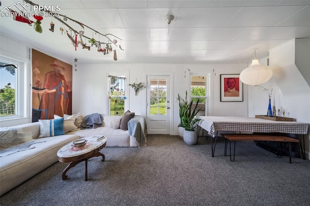 living room featuring carpet flooring