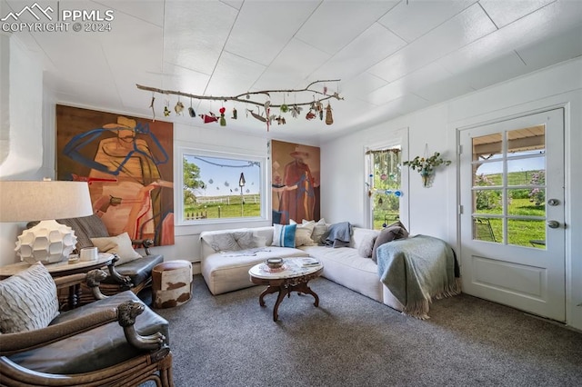 living room with plenty of natural light and carpet floors