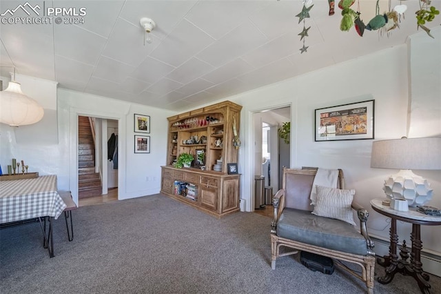 sitting room featuring carpet floors