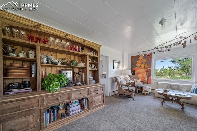 living area with carpet and a baseboard radiator