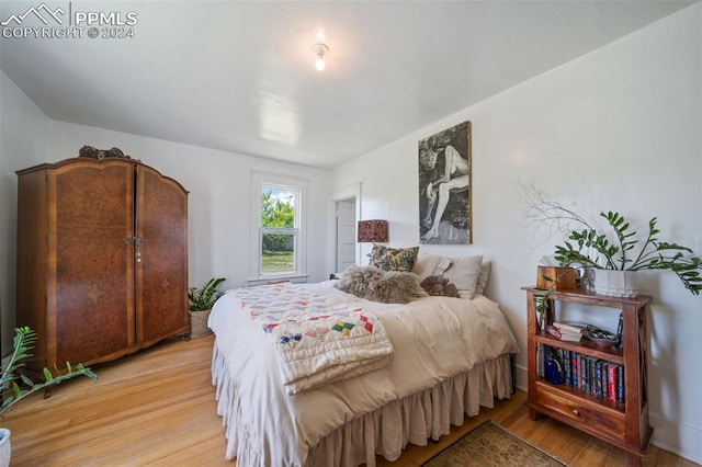 bedroom featuring light hardwood / wood-style flooring