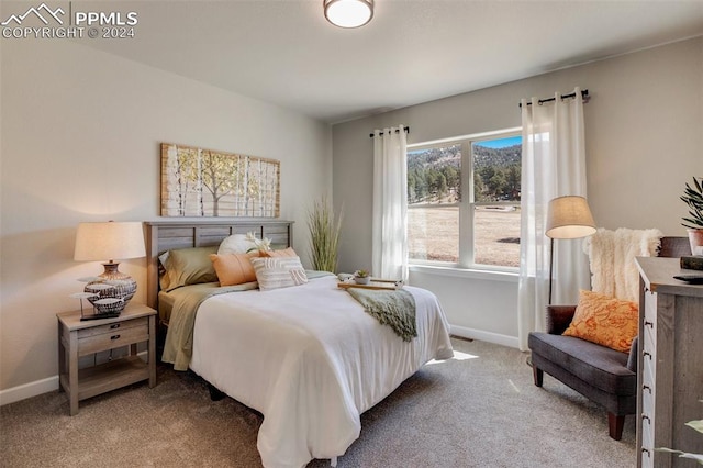 view of carpeted bedroom