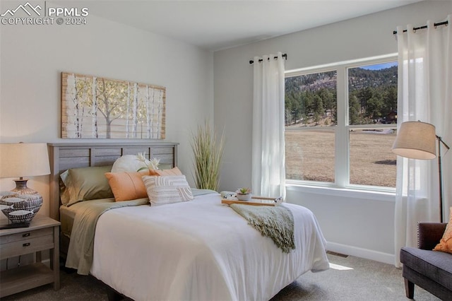 bedroom with carpet floors