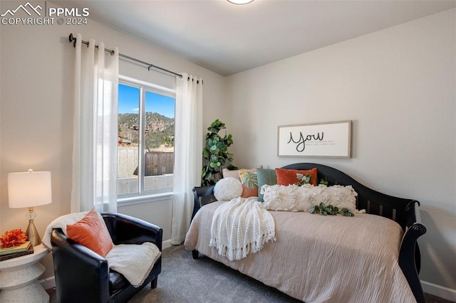 bedroom with carpet flooring