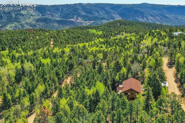 drone / aerial view featuring a mountain view