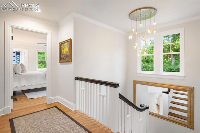 hallway with a wealth of natural light, hardwood / wood-style floors, crown molding, and a notable chandelier