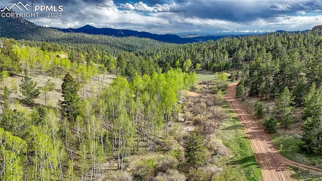 649 Pinon Ln, Florissant CO, 80816 land for sale