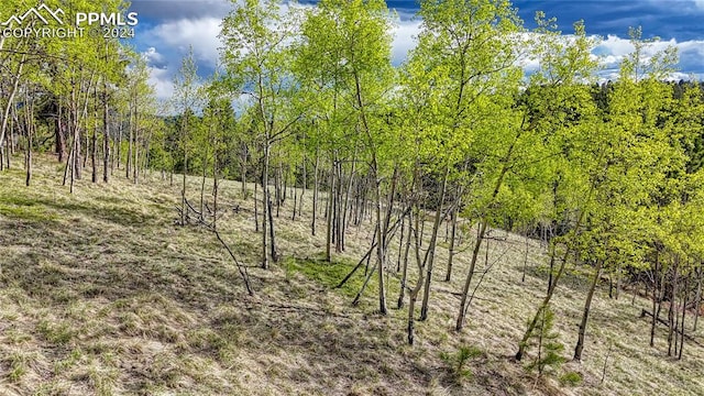 Listing photo 3 for 649 Pinon Ln, Florissant CO 80816