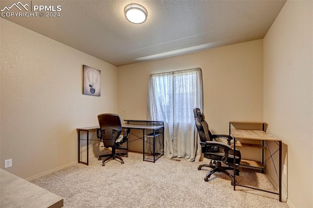 office with light carpet and a textured ceiling