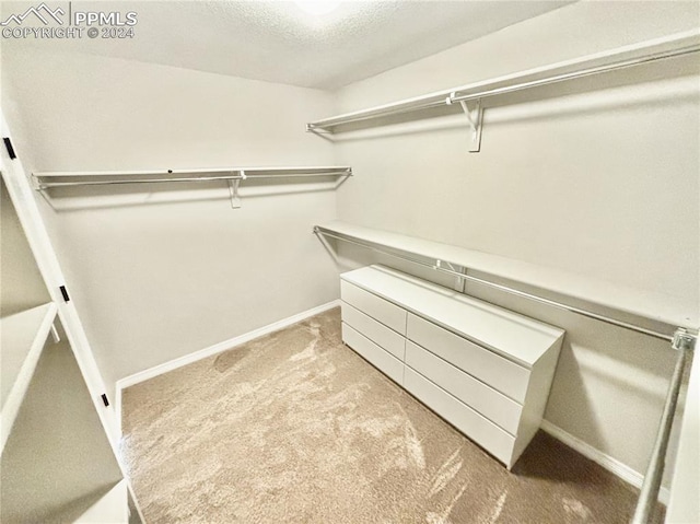 walk in closet with carpet flooring