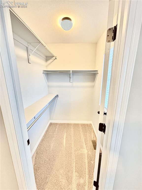 walk in closet with carpet floors