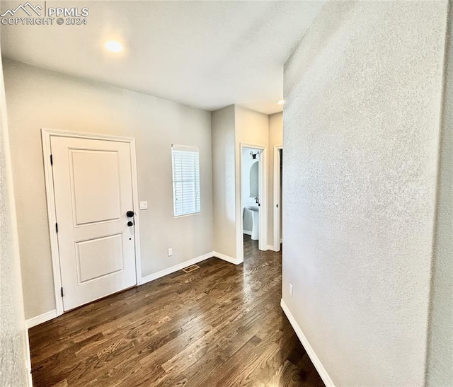 entrance foyer with dark wood-type flooring