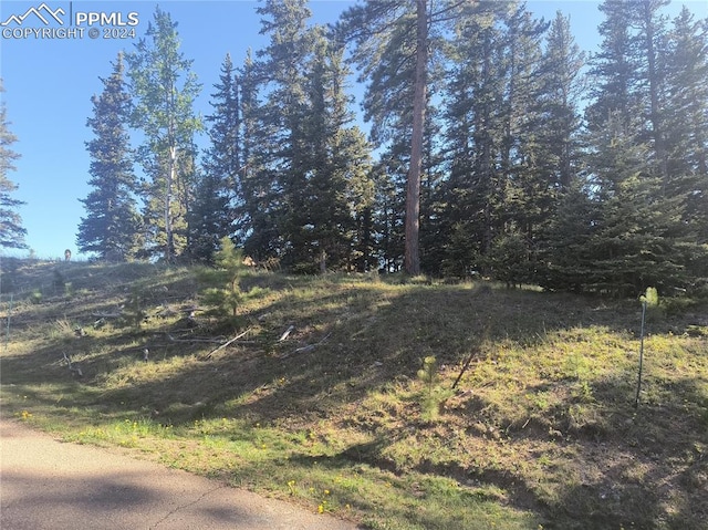 404 Silvermoon Hts, Divide CO, 80814 land for sale