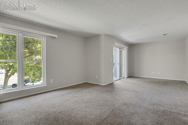 empty room featuring carpet and a textured ceiling