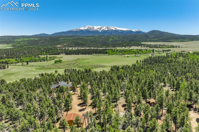 bird's eye view with a mountain view