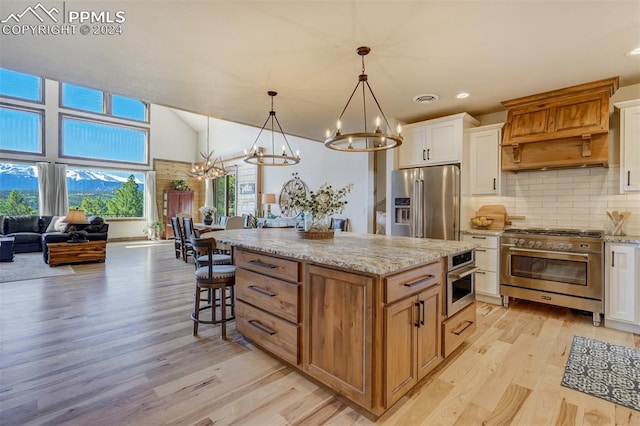 kitchen featuring premium appliances, custom range hood, a healthy amount of sunlight, and light wood-type flooring