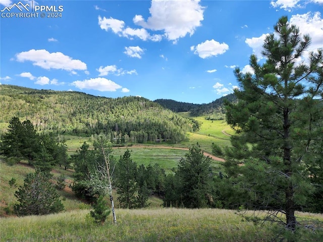 770 Copper Mountain Dr, Cripple Creek CO, 80813 land for sale