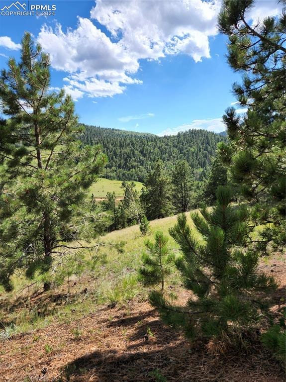 Listing photo 2 for 770 Copper Mountain Dr, Cripple Creek CO 80813