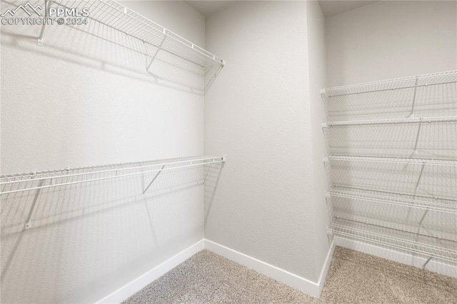 spacious closet with carpet flooring