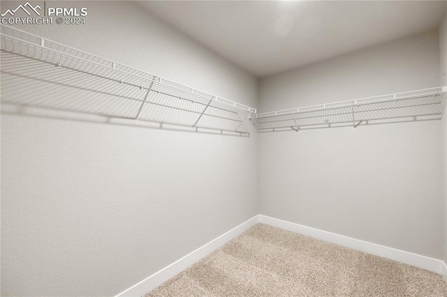 walk in closet with carpet flooring