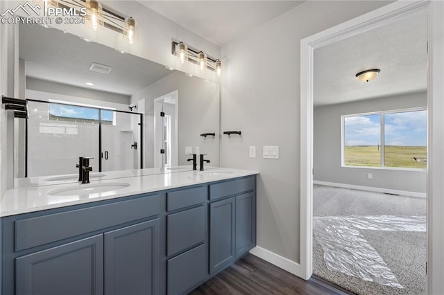 bathroom featuring hardwood / wood-style flooring, plenty of natural light, and double vanity