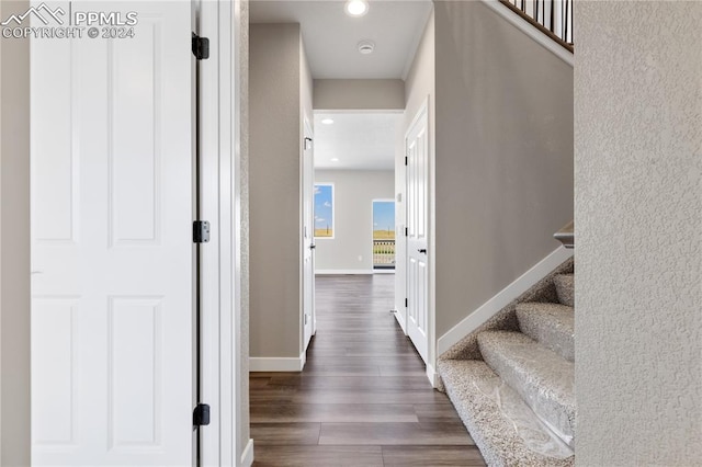 interior space featuring dark hardwood / wood-style floors