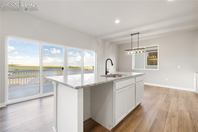 kitchen featuring an island with sink, light hardwood / wood-style floors, a healthy amount of sunlight, decorative light fixtures, and sink