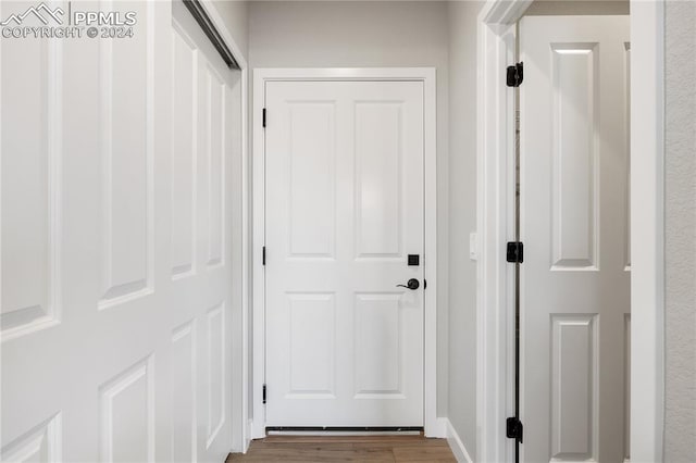 entryway featuring wood-type flooring