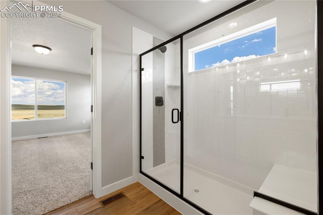 bathroom featuring a healthy amount of sunlight, wood-type flooring, and a shower with shower door