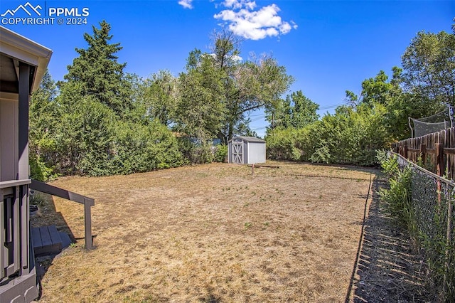 view of yard with a shed