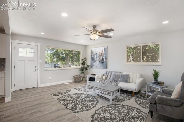 living room with ceiling fan and wood-type flooring