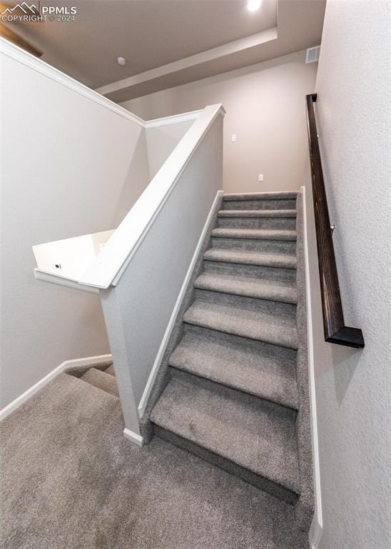 staircase with carpet floors