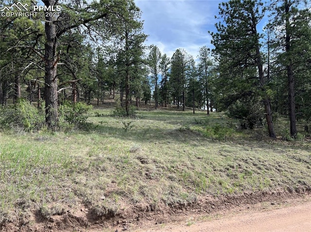 Listing photo 2 for 146 Shawnee Trl, Westcliffe CO 81252