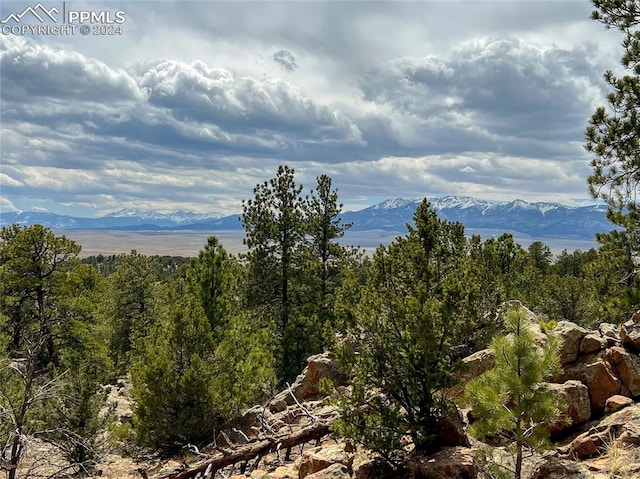 Listing photo 3 for 146 Shawnee Trl, Westcliffe CO 81252