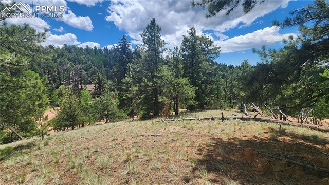 822 Spring Valley Ln, Florissant CO, 80816 land for sale