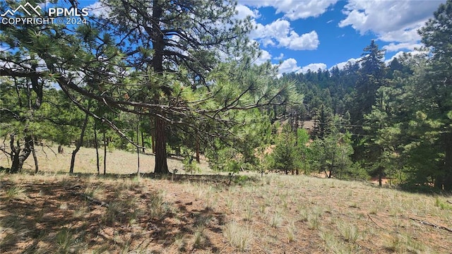 Listing photo 3 for 822 Spring Valley Ln, Florissant CO 80816