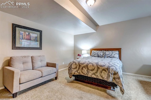 bedroom with carpet flooring