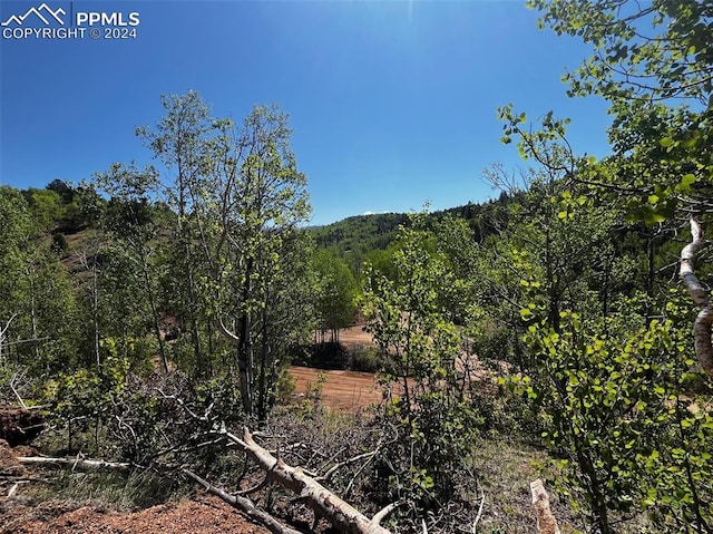 2136 Golden Cycle Cir, Cripple Creek CO, 80813 land for sale