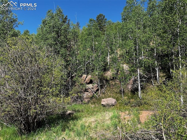 Listing photo 3 for 2136 Golden Cycle Cir, Cripple Creek CO 80813