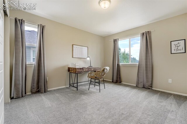 home office featuring carpet flooring