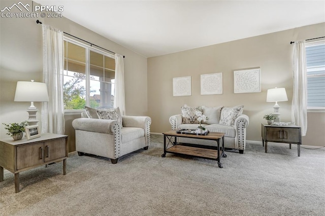 living room with light colored carpet and a healthy amount of sunlight