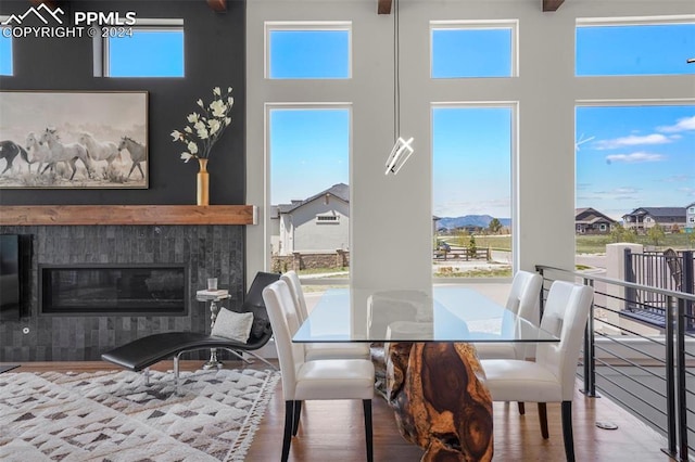 dining space featuring hardwood / wood-style floors and a wealth of natural light