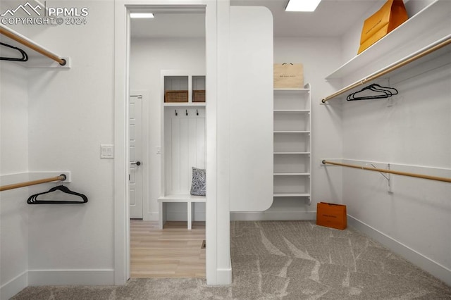 spacious closet featuring light carpet