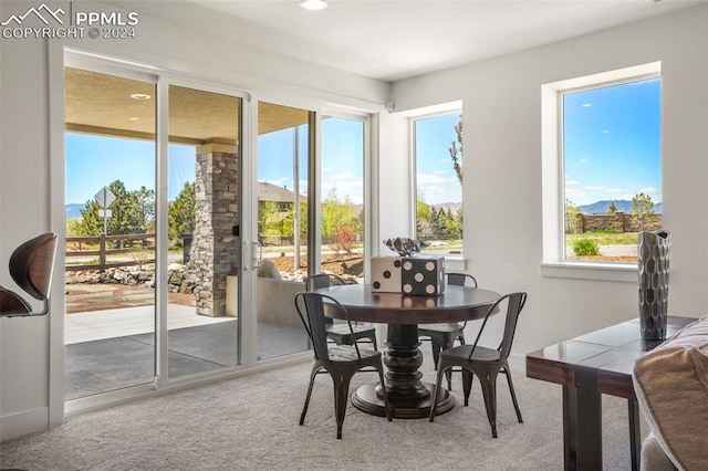 sunroom featuring a healthy amount of sunlight