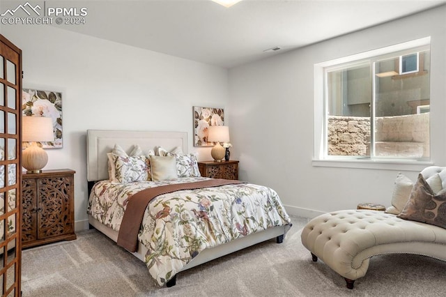 bedroom with carpet floors