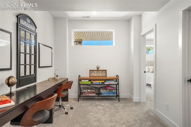 office area featuring light colored carpet