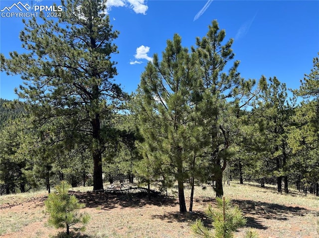 506 Copper Mountain Dr, Cripple Creek CO, 80813 land for sale