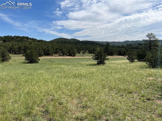 1012 Iron Mountain Rd, Cotopaxi CO, 81223 land for sale