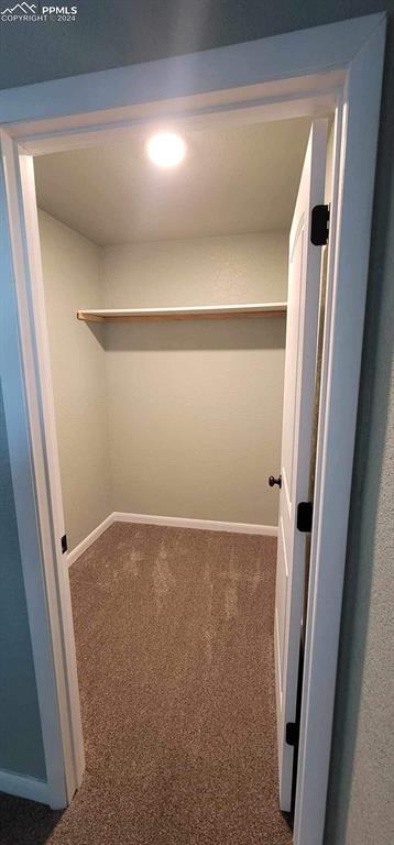 walk in closet featuring dark colored carpet