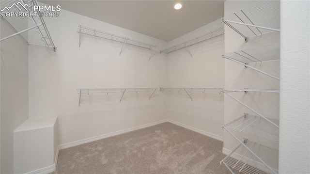 spacious closet with carpet floors